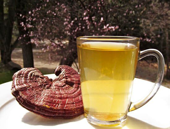 قارچ گانودرما