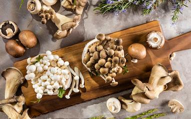 درمان طبیعی زگیل تناسلی با قارچ‌های دارویی