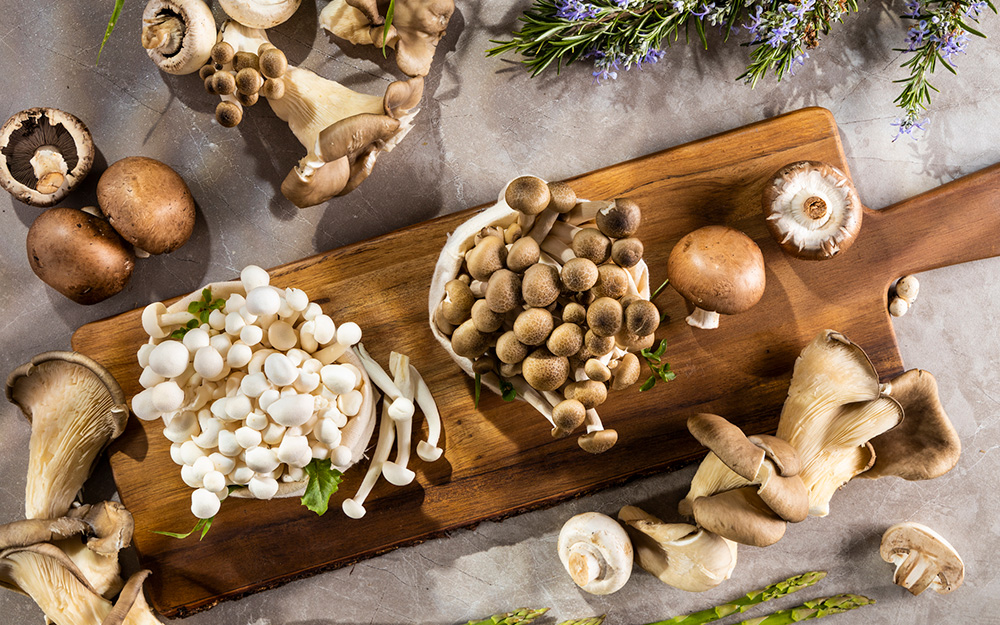 درمان طبیعی زگیل تناسلی با قارچ‌های دارویی